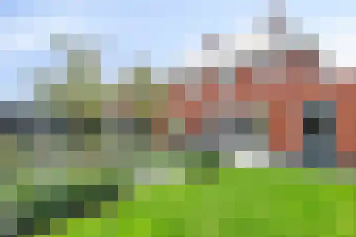 Mittendorffwerf 53 Dedemsvaart thumbnail 45