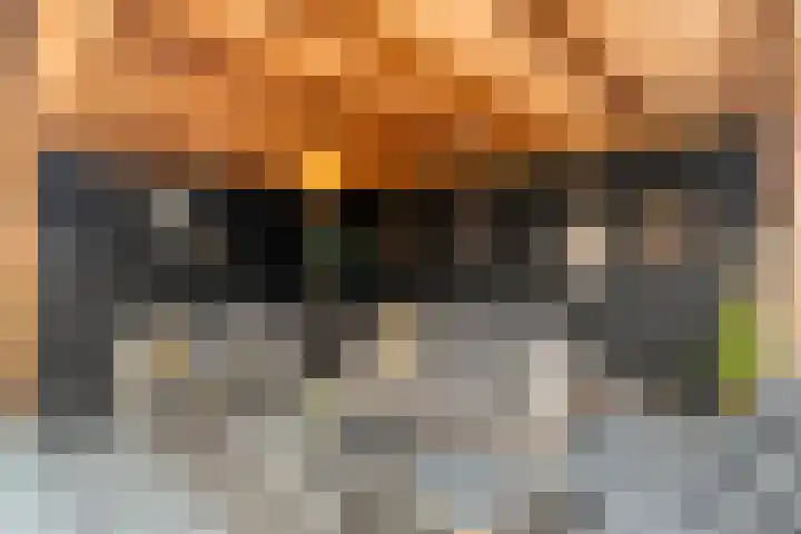 Mittendorffwerf 53 Dedemsvaart thumbnail 46