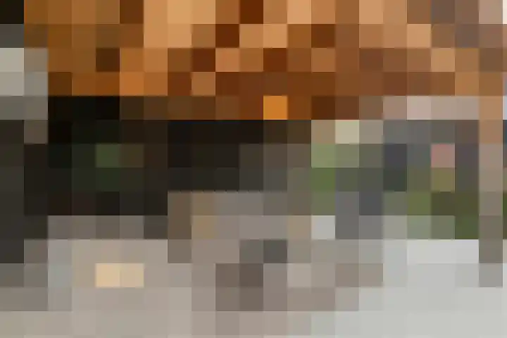 Mittendorffwerf 53 Dedemsvaart thumbnail 47