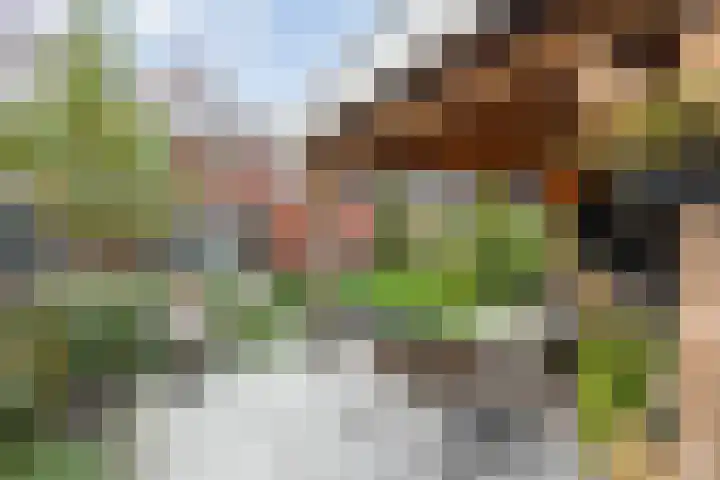 Mittendorffwerf 53 Dedemsvaart thumbnail 48
