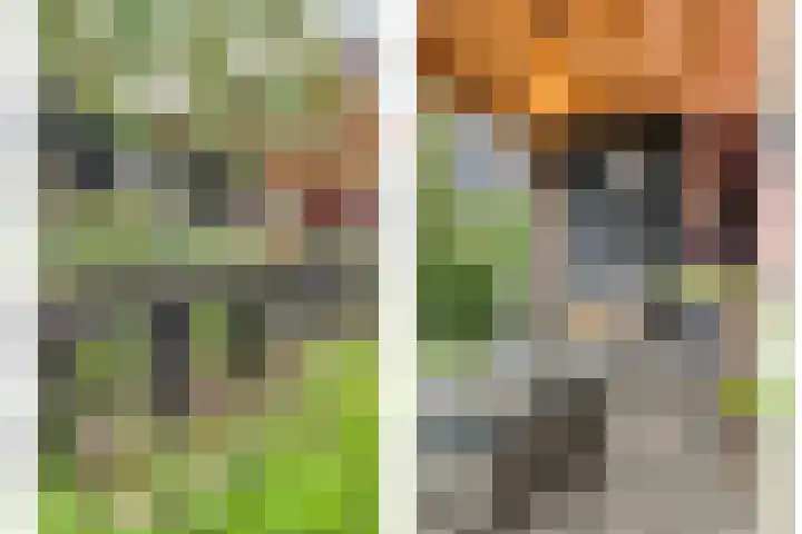 Mittendorffwerf 53 Dedemsvaart thumbnail 49