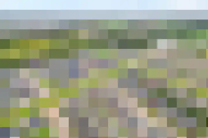 Mittendorffwerf 53 Dedemsvaart thumbnail 5
