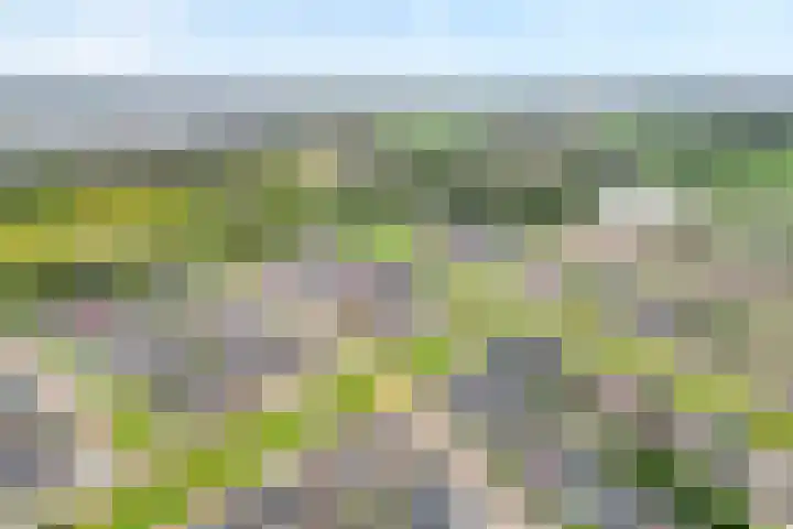 Mittendorffwerf 53 Dedemsvaart thumbnail 50