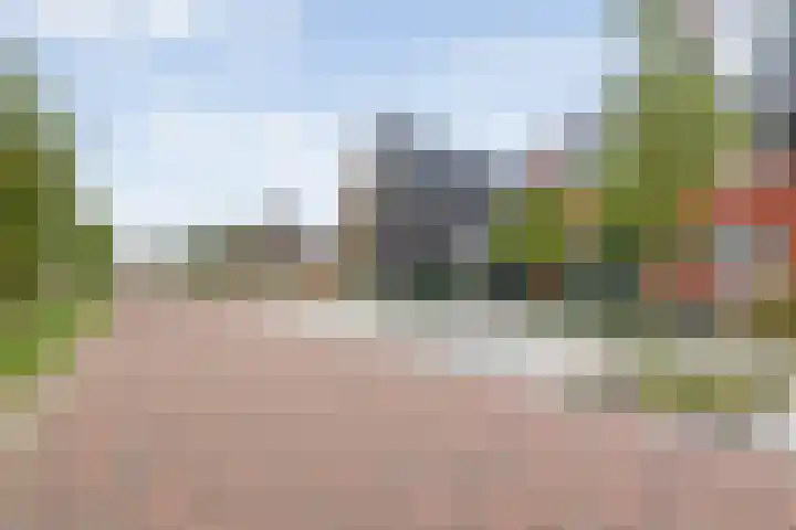 Mittendorffwerf 53 Dedemsvaart thumbnail 54