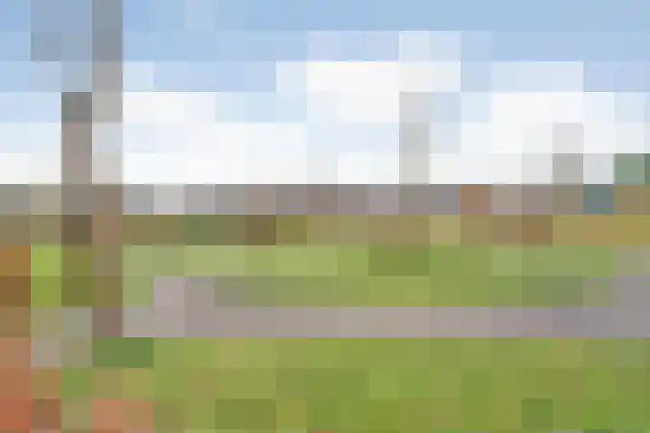 Mittendorffwerf 53 Dedemsvaart thumbnail 56