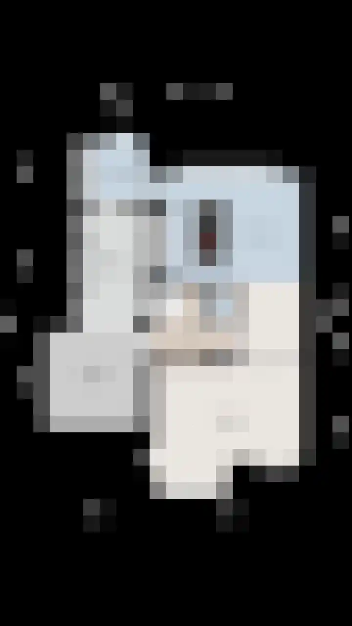 Mittendorffwerf 53 Dedemsvaart thumbnail 57