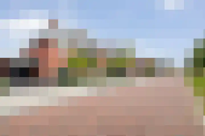 Mittendorffwerf 53 Dedemsvaart thumbnail 6