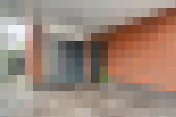 Mittendorffwerf 53 Dedemsvaart thumbnail 7
