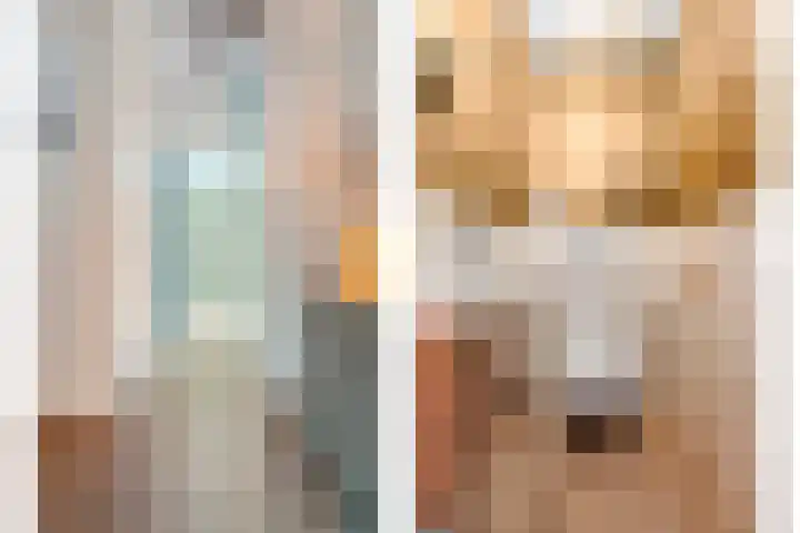 Mittendorffwerf 53 Dedemsvaart thumbnail 8