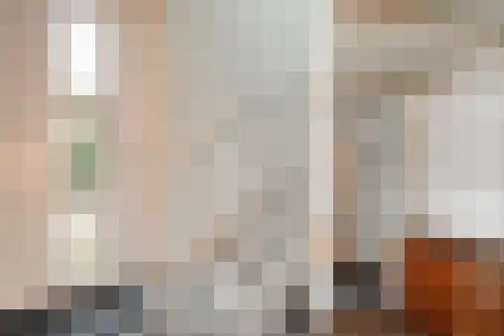 Mittendorffwerf 53 Dedemsvaart thumbnail 9