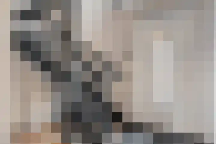 Mittendorffwerf 69 Dedemsvaart thumbnail 11