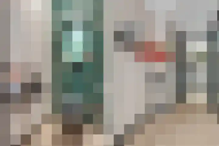 Mittendorffwerf 69 Dedemsvaart thumbnail 12