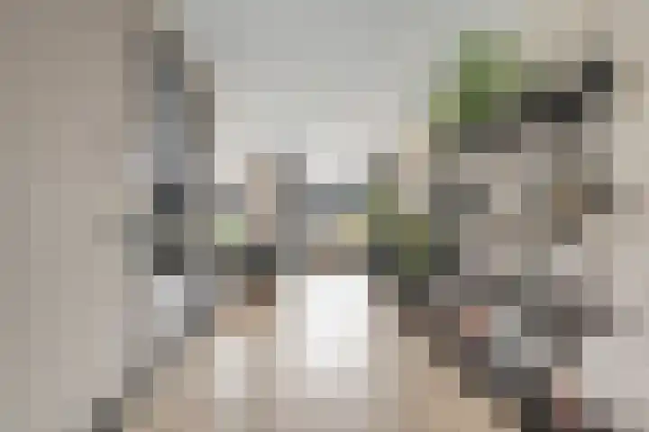 Mittendorffwerf 69 Dedemsvaart thumbnail 13
