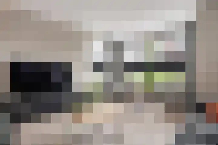 Mittendorffwerf 69 Dedemsvaart thumbnail 15