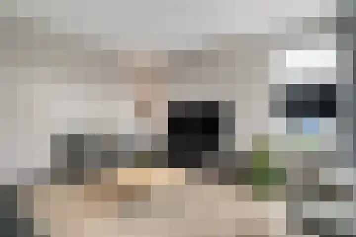 Mittendorffwerf 69 Dedemsvaart thumbnail 17