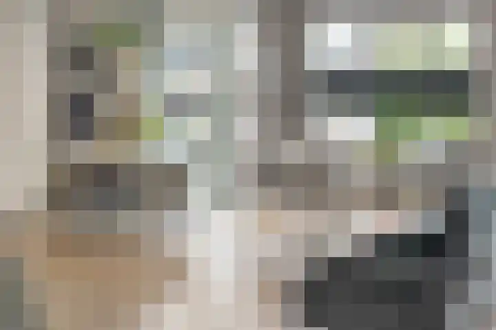 Mittendorffwerf 69 Dedemsvaart thumbnail 18