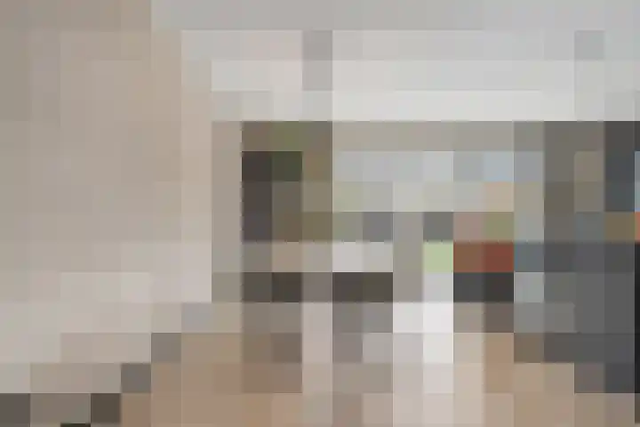 Mittendorffwerf 69 Dedemsvaart thumbnail 19