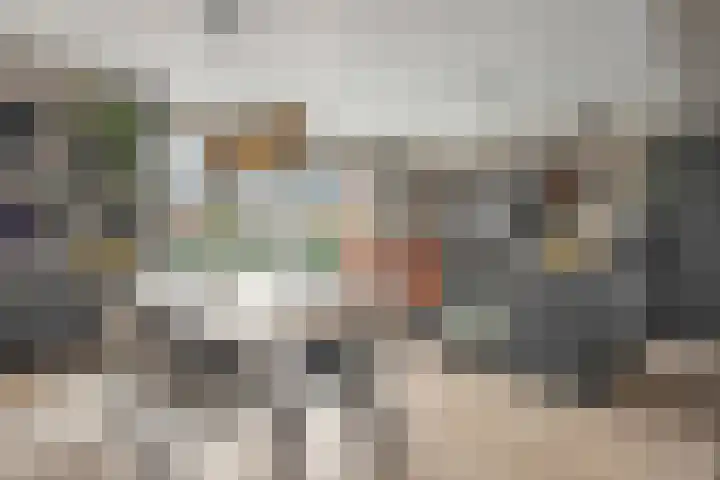 Mittendorffwerf 69 Dedemsvaart thumbnail 20
