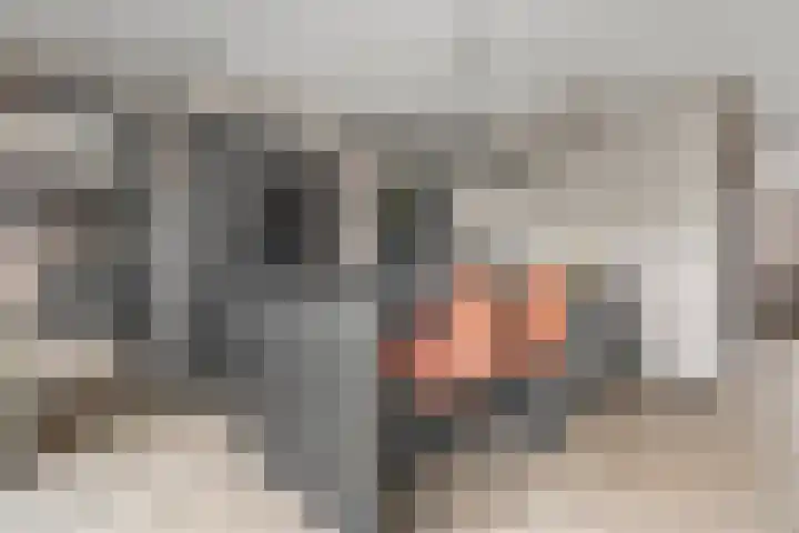 Mittendorffwerf 69 Dedemsvaart thumbnail 21