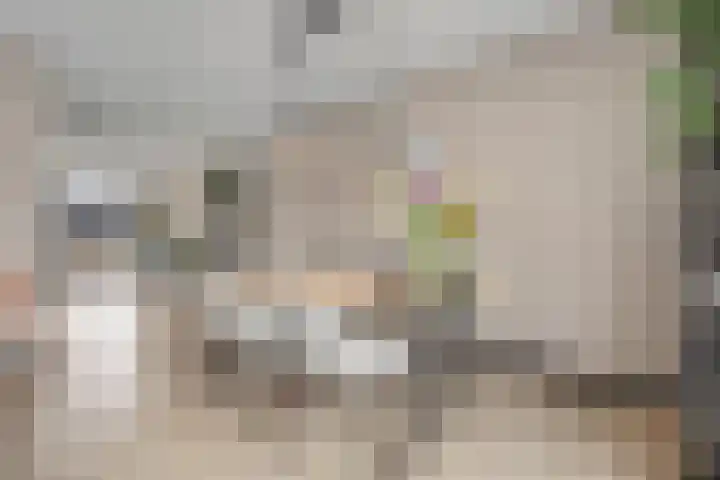 Mittendorffwerf 69 Dedemsvaart thumbnail 23