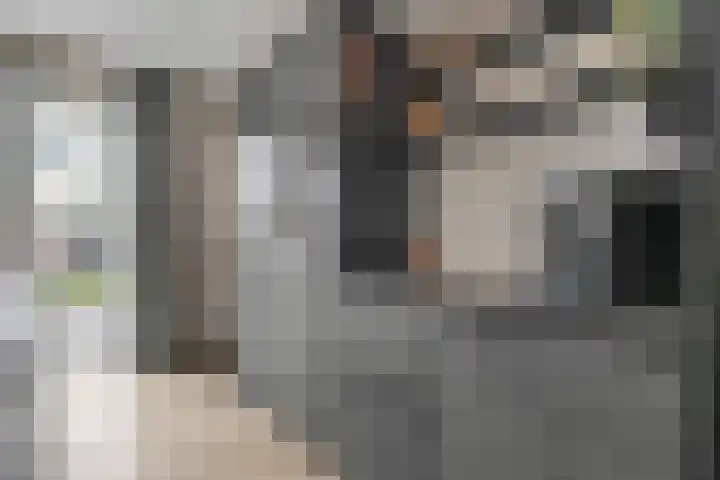 Mittendorffwerf 69 Dedemsvaart thumbnail 24
