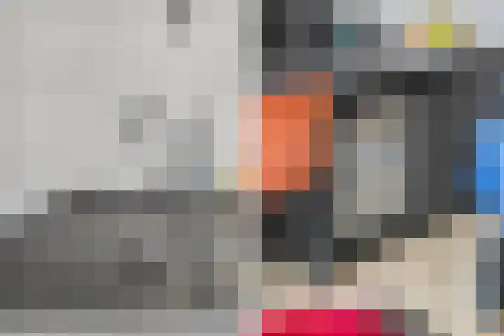 Mittendorffwerf 69 Dedemsvaart thumbnail 25