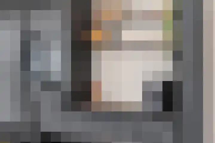 Mittendorffwerf 69 Dedemsvaart thumbnail 26