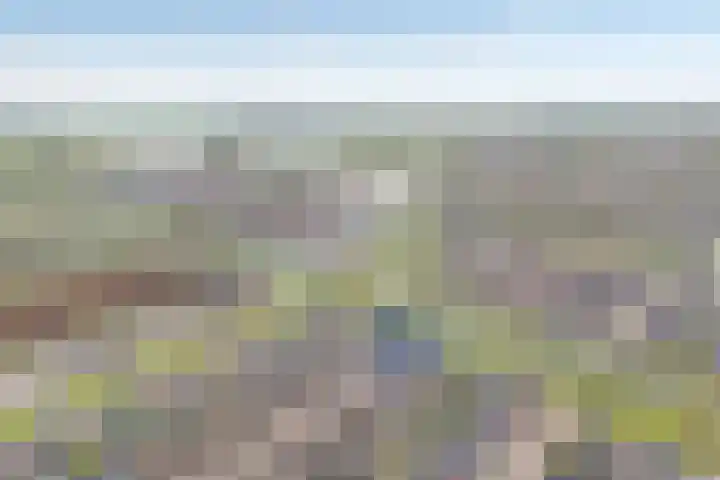 Mittendorffwerf 69 Dedemsvaart foto 3