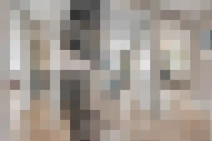 Mittendorffwerf 69 Dedemsvaart thumbnail 31