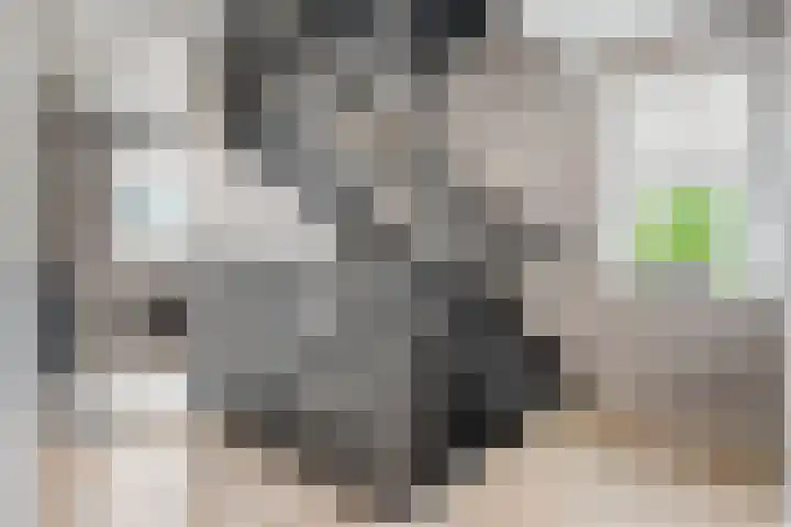 Mittendorffwerf 69 Dedemsvaart thumbnail 32