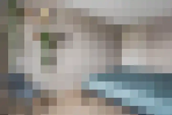 Mittendorffwerf 69 Dedemsvaart thumbnail 35