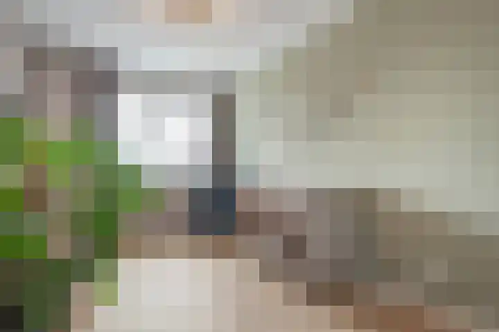 Mittendorffwerf 69 Dedemsvaart thumbnail 36