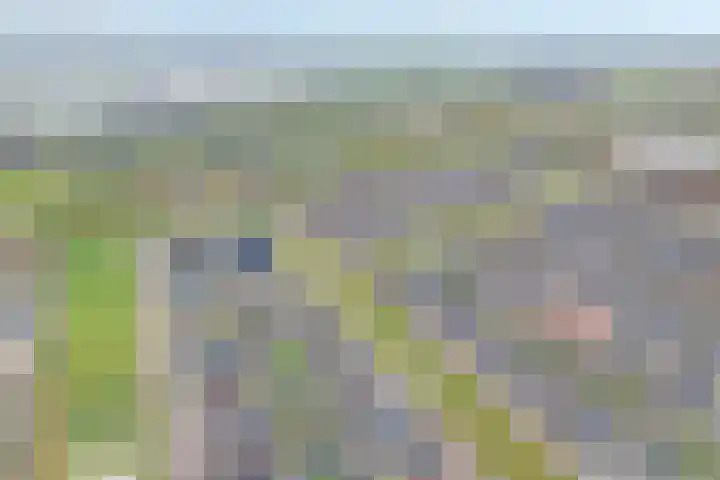 Mittendorffwerf 69 Dedemsvaart thumbnail 4