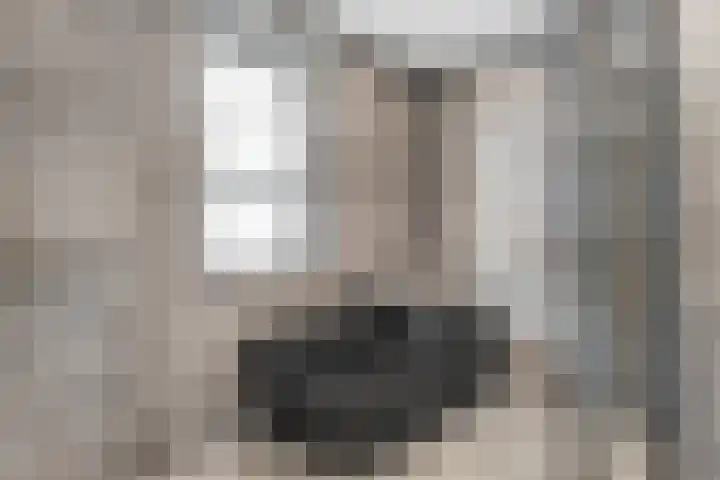Mittendorffwerf 69 Dedemsvaart thumbnail 40