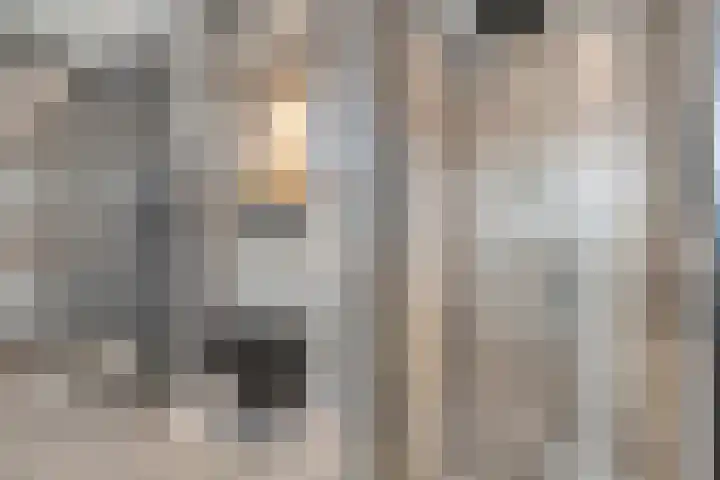 Mittendorffwerf 69 Dedemsvaart thumbnail 42
