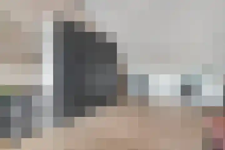 Mittendorffwerf 69 Dedemsvaart thumbnail 45