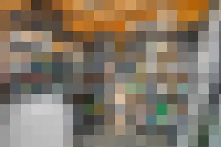 Mittendorffwerf 69 Dedemsvaart thumbnail 47