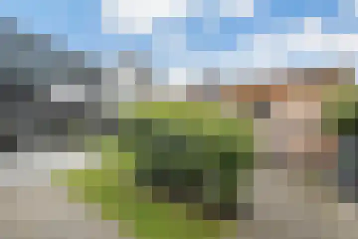Mittendorffwerf 69 Dedemsvaart thumbnail 48