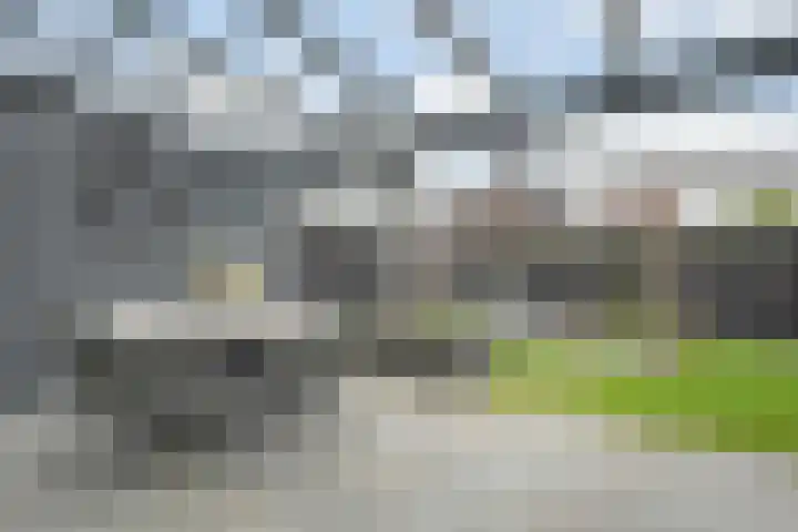 Mittendorffwerf 69 Dedemsvaart thumbnail 50