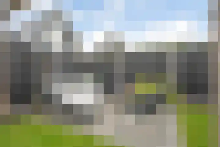 Mittendorffwerf 69 Dedemsvaart thumbnail 53