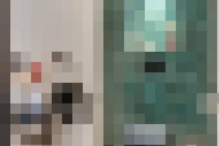 Mittendorffwerf 69 Dedemsvaart thumbnail 56