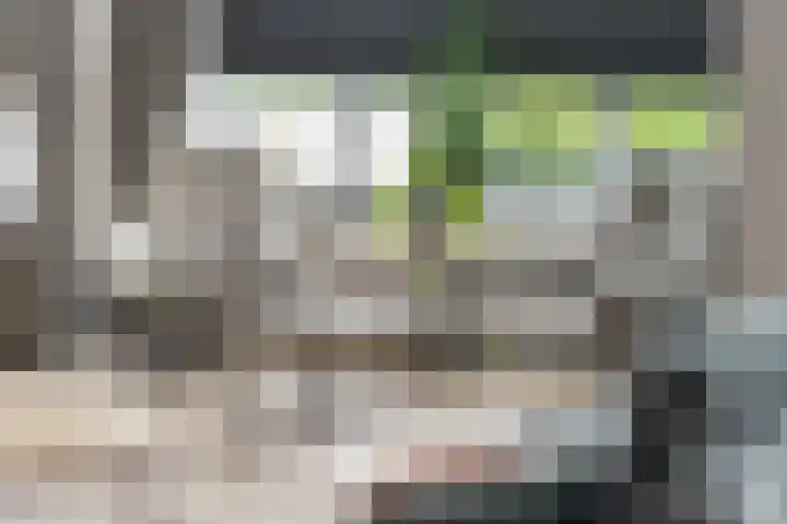 Mittendorffwerf 69 Dedemsvaart thumbnail 58