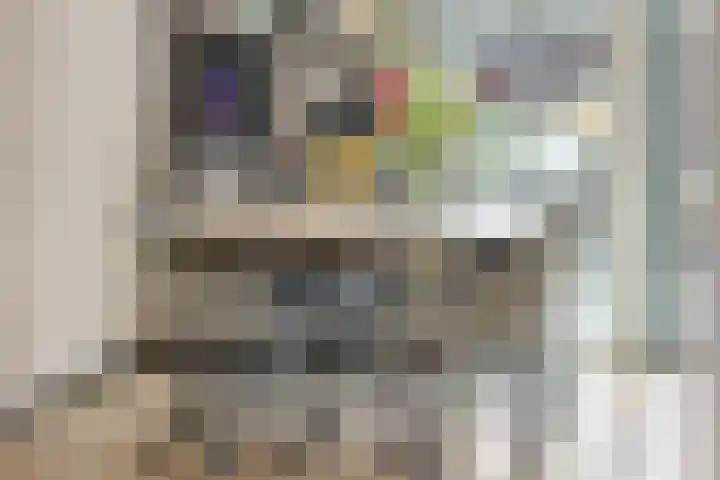 Mittendorffwerf 69 Dedemsvaart thumbnail 59