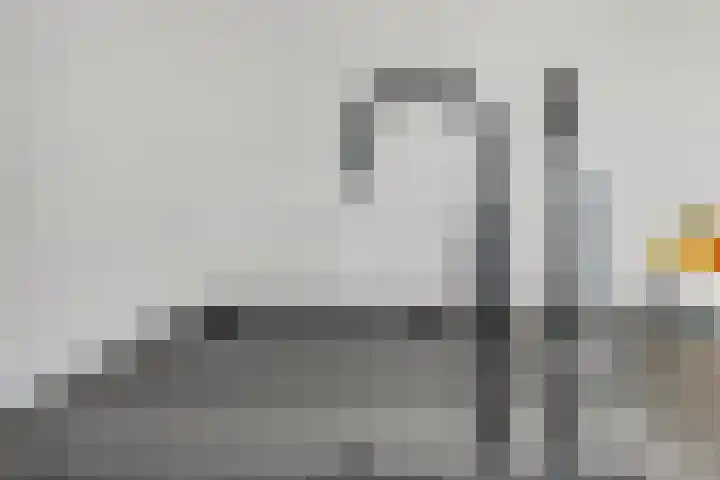 Mittendorffwerf 69 Dedemsvaart thumbnail 61