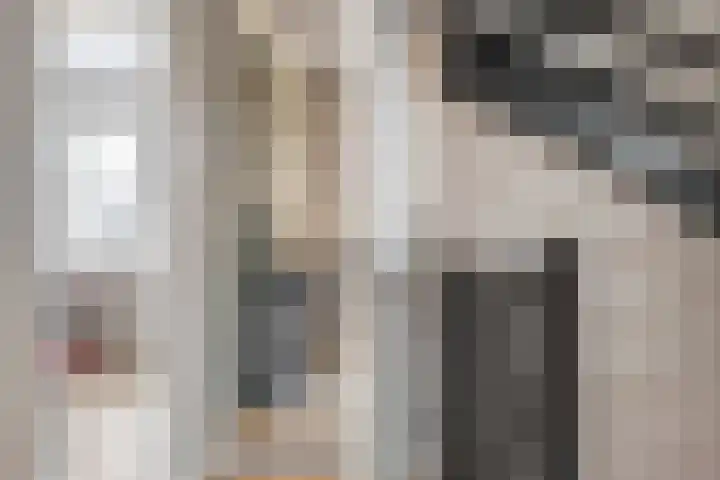 Mittendorffwerf 69 Dedemsvaart thumbnail 62