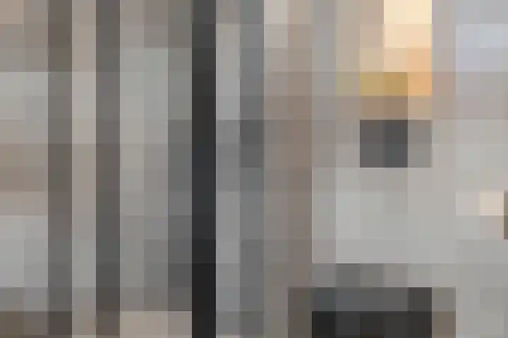 Mittendorffwerf 69 Dedemsvaart thumbnail 64
