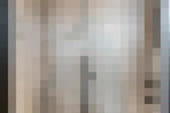 Mittendorffwerf 69 Dedemsvaart thumbnail 65