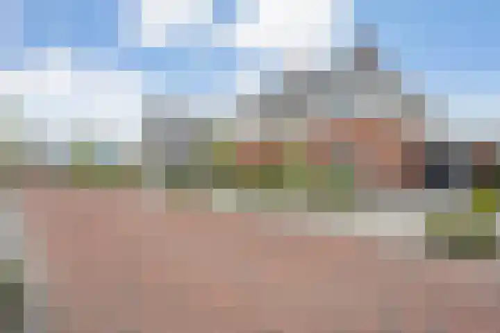 Mittendorffwerf 69 Dedemsvaart thumbnail 7