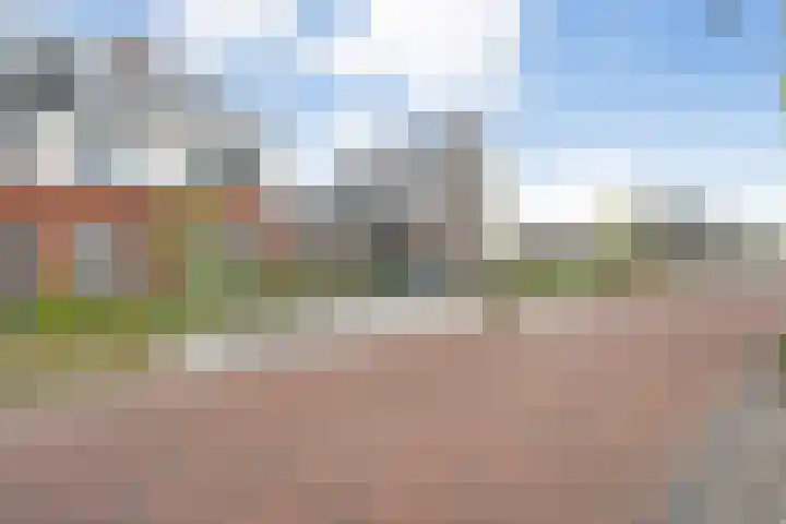 Mittendorffwerf 69 Dedemsvaart thumbnail 9