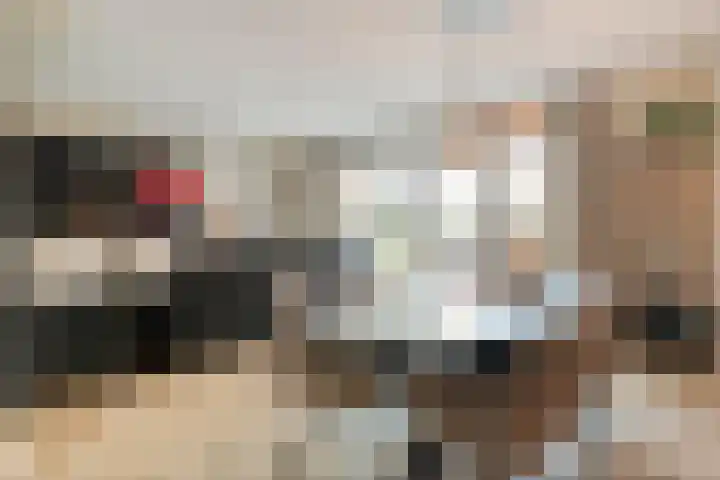 Mittendorffwerf 71 Dedemsvaart thumbnail 12